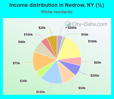 Income distribution in Nedrow, NY (%)