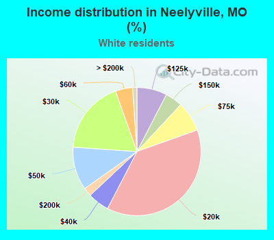 Income distribution in Neelyville, MO (%)