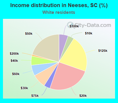 Income distribution in Neeses, SC (%)