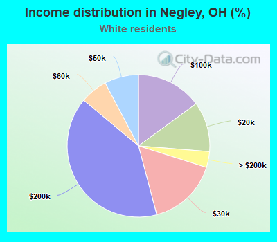 Income distribution in Negley, OH (%)