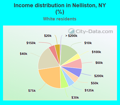 Income distribution in Nelliston, NY (%)