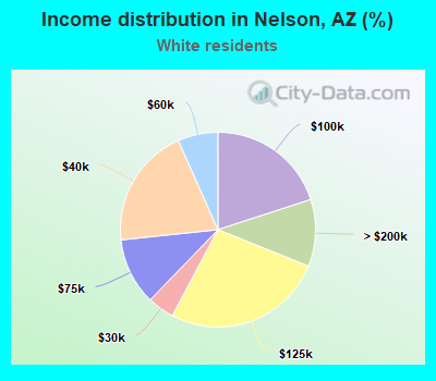 Income distribution in Nelson, AZ (%)