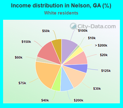 Income distribution in Nelson, GA (%)
