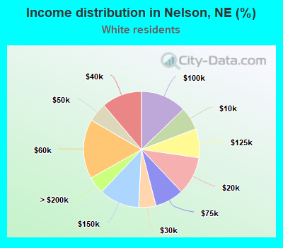 Income distribution in Nelson, NE (%)