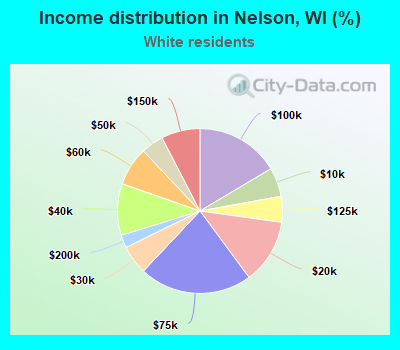 Income distribution in Nelson, WI (%)