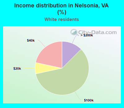 Income distribution in Nelsonia, VA (%)