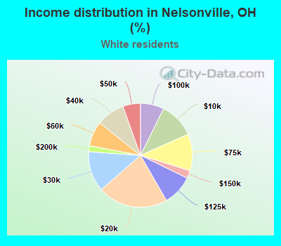 Income distribution in Nelsonville, OH (%)