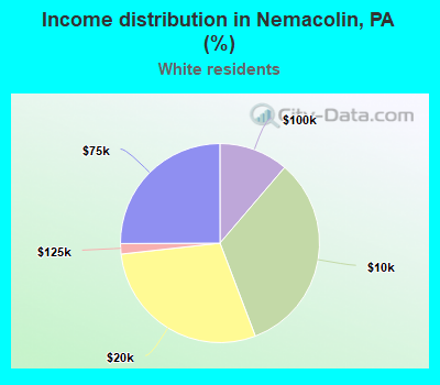 Income distribution in Nemacolin, PA (%)