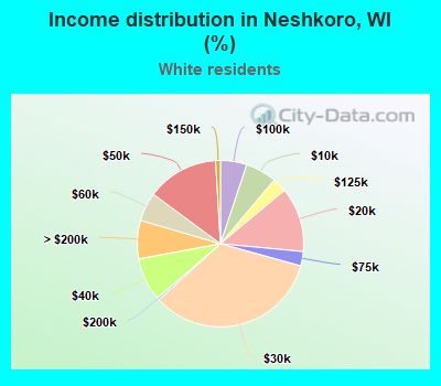 Income distribution in Neshkoro, WI (%)