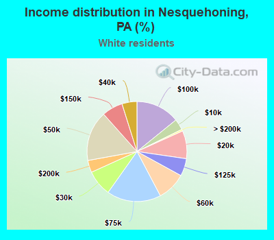 Income distribution in Nesquehoning, PA (%)