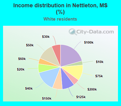 Income distribution in Nettleton, MS (%)