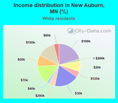 Income distribution in New Auburn, MN (%)