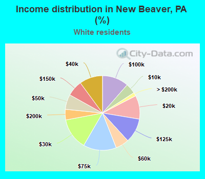 Income distribution in New Beaver, PA (%)