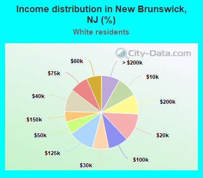 Income distribution in New Brunswick, NJ (%)
