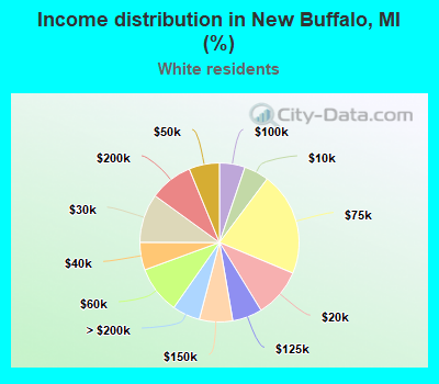 Income distribution in New Buffalo, MI (%)