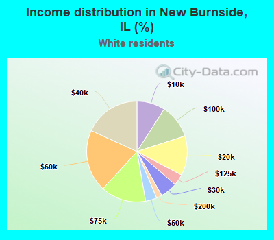 Income distribution in New Burnside, IL (%)