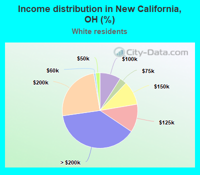 Income distribution in New California, OH (%)
