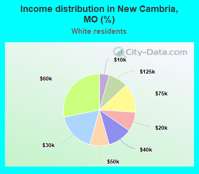 Income distribution in New Cambria, MO (%)