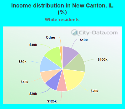 Income distribution in New Canton, IL (%)