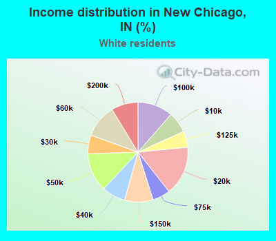 Income distribution in New Chicago, IN (%)