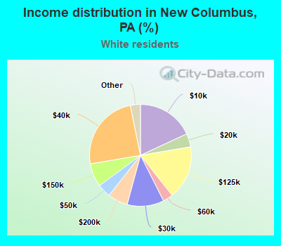 Income distribution in New Columbus, PA (%)