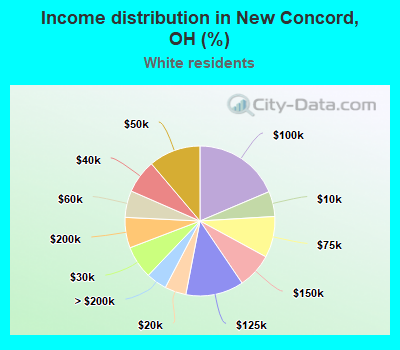 Income distribution in New Concord, OH (%)