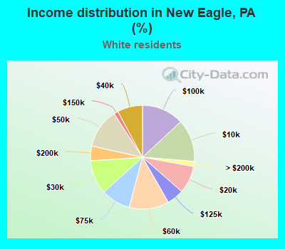 Income distribution in New Eagle, PA (%)