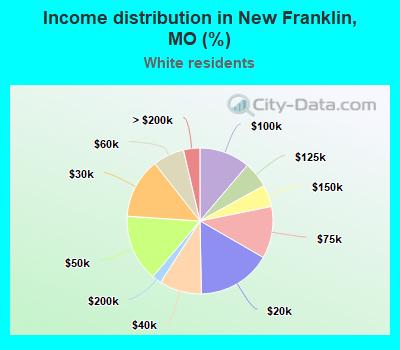 Income distribution in New Franklin, MO (%)