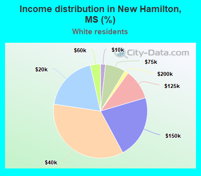 Income distribution in New Hamilton, MS (%)