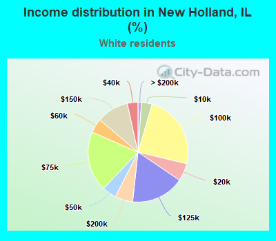 Income distribution in New Holland, IL (%)