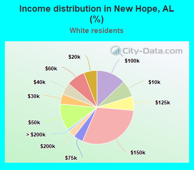 Income distribution in New Hope, AL (%)