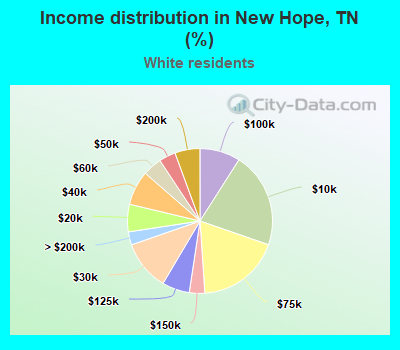 Income distribution in New Hope, TN (%)