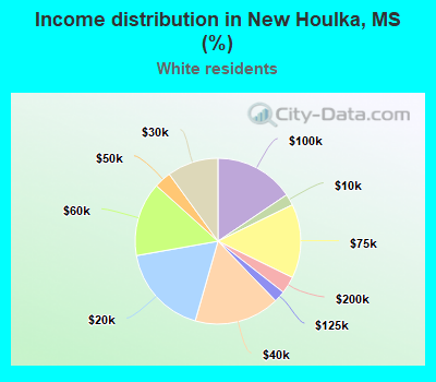 Income distribution in New Houlka, MS (%)