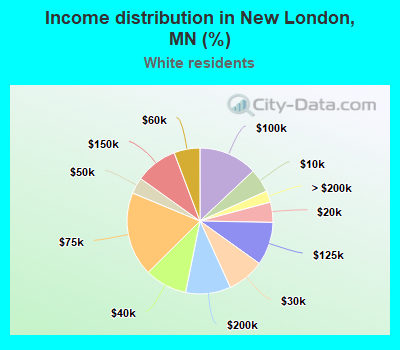 Income distribution in New London, MN (%)