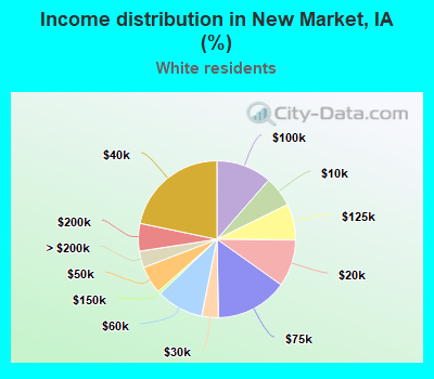 Income distribution in New Market, IA (%)