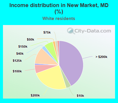 Income distribution in New Market, MD (%)