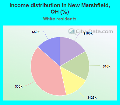 Income distribution in New Marshfield, OH (%)