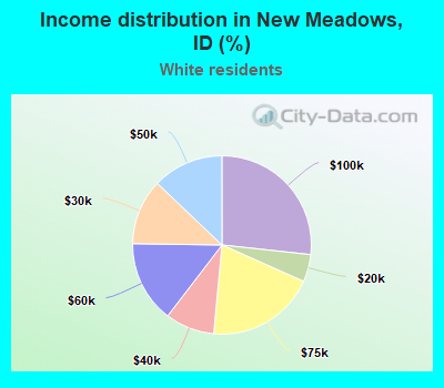 Income distribution in New Meadows, ID (%)
