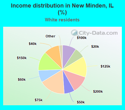 Income distribution in New Minden, IL (%)