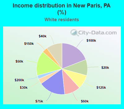 Income distribution in New Paris, PA (%)