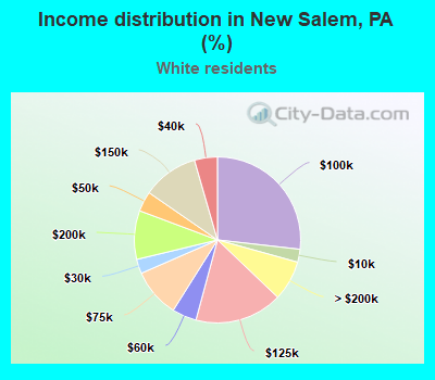 Income distribution in New Salem, PA (%)