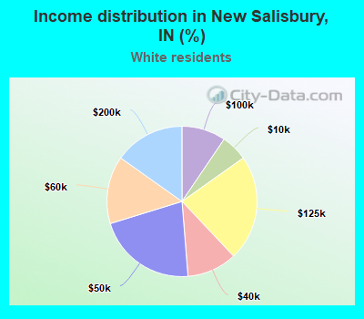Income distribution in New Salisbury, IN (%)