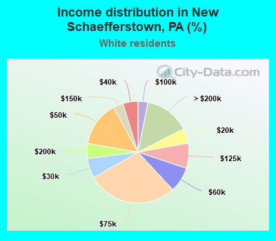 Income distribution in New Schaefferstown, PA (%)