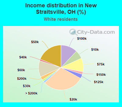 Income distribution in New Straitsville, OH (%)