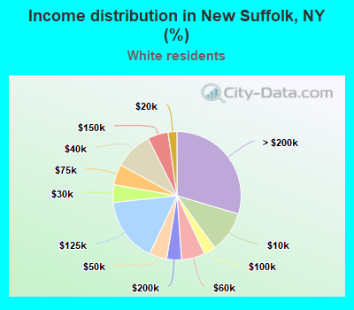 Income distribution in New Suffolk, NY (%)