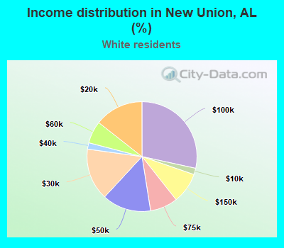 Income distribution in New Union, AL (%)