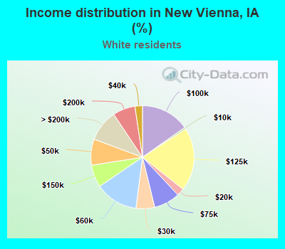 Income distribution in New Vienna, IA (%)