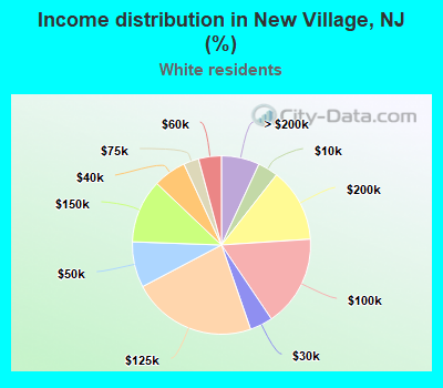 Income distribution in New Village, NJ (%)