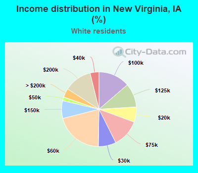Income distribution in New Virginia, IA (%)