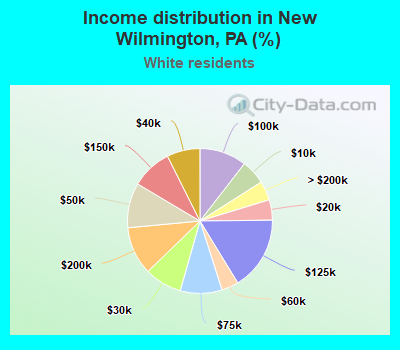 Income distribution in New Wilmington, PA (%)